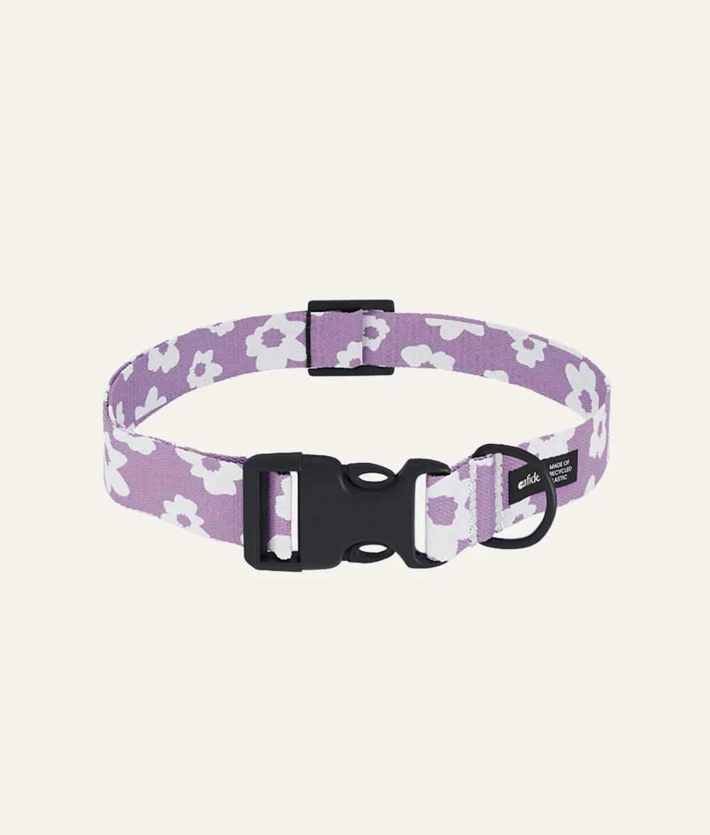 Cafide Juno Recycled PET Collar