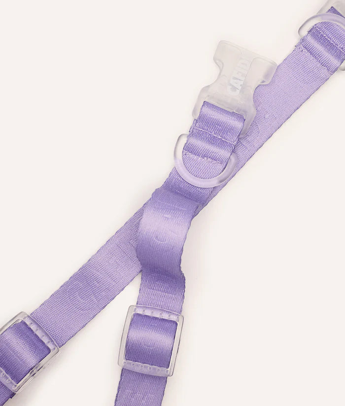Cafide Ona Dog Collar in Violet
