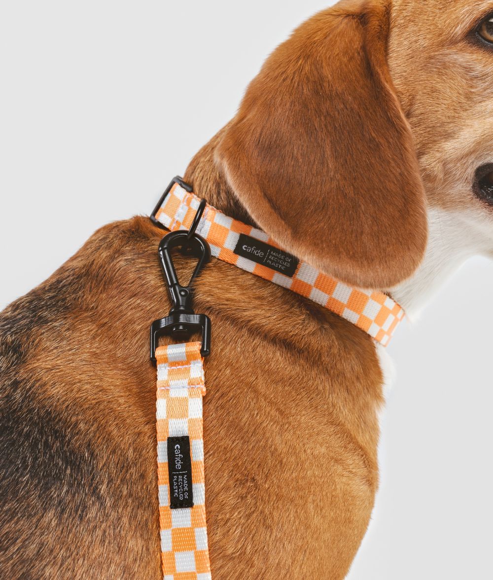 Cafide Juno Recycled PET Collar