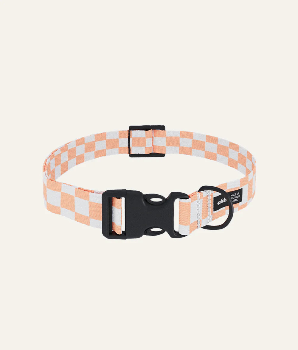 Cafide Juno Recycled PET Collar