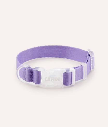 Cafide Ona Dog Collar in Violet