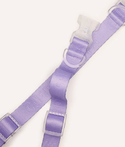 Cafide Ona Dog Collar in Violet