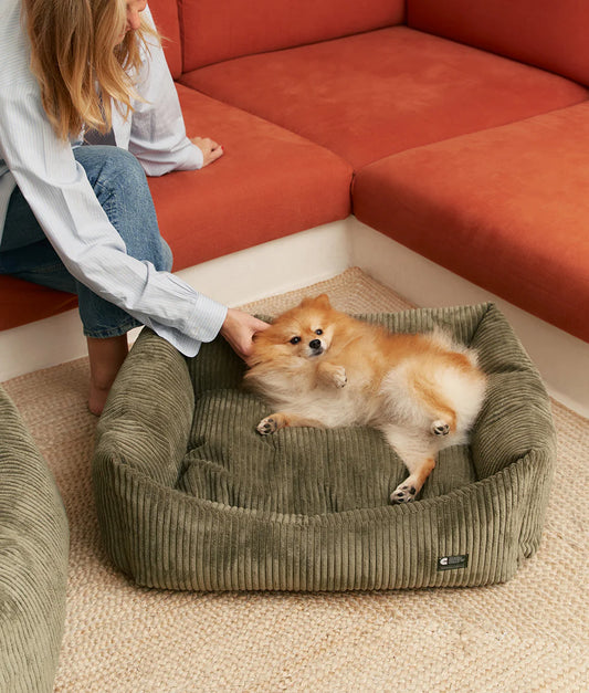 Cafide Snozy Corduroy Dog Bed