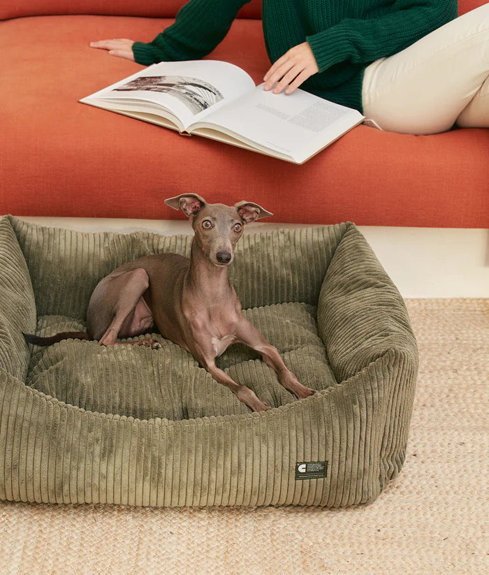 Cafide Snozy Corduroy Dog Bed