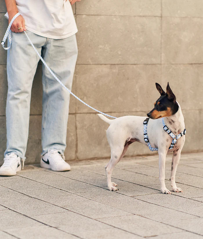 Cafide Juno Recycled PET Dog Leash
