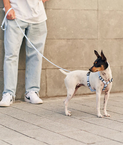 Cafide Juno Recycled PET Dog Leash