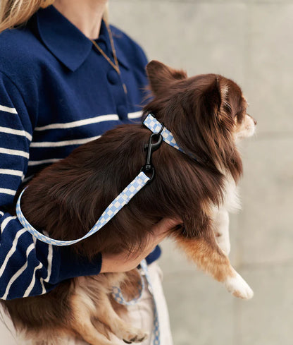 Cafide Juno Recycled PET Dog Leash