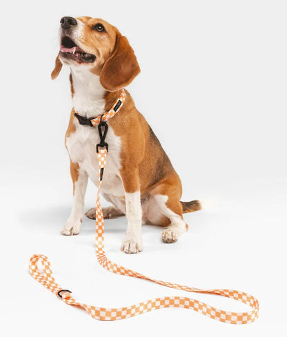 Cafide Juno Recycled PET Collar