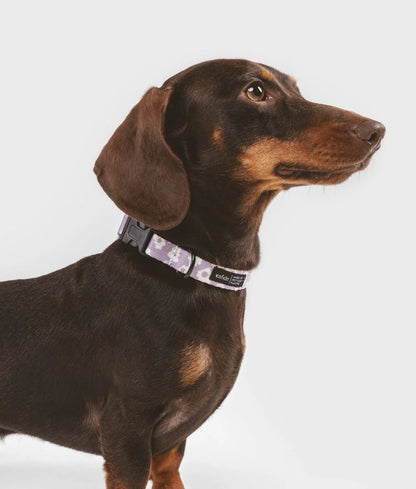 Cafide Juno Recycled PET Collar
