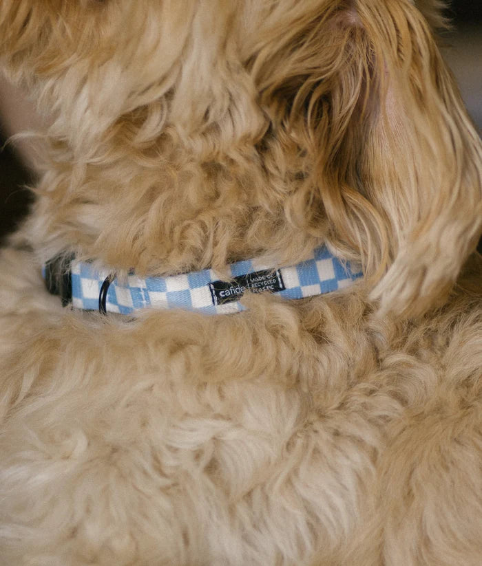 Cafide Juno Recycled PET Collar