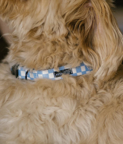 Cafide Juno Recycled PET Collar