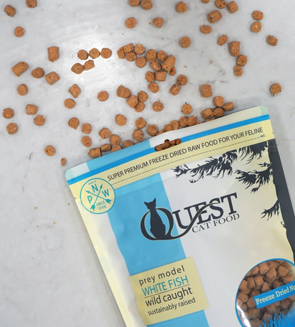 Quest Prey Model Freeze Dried Raw Nuggets for Cats