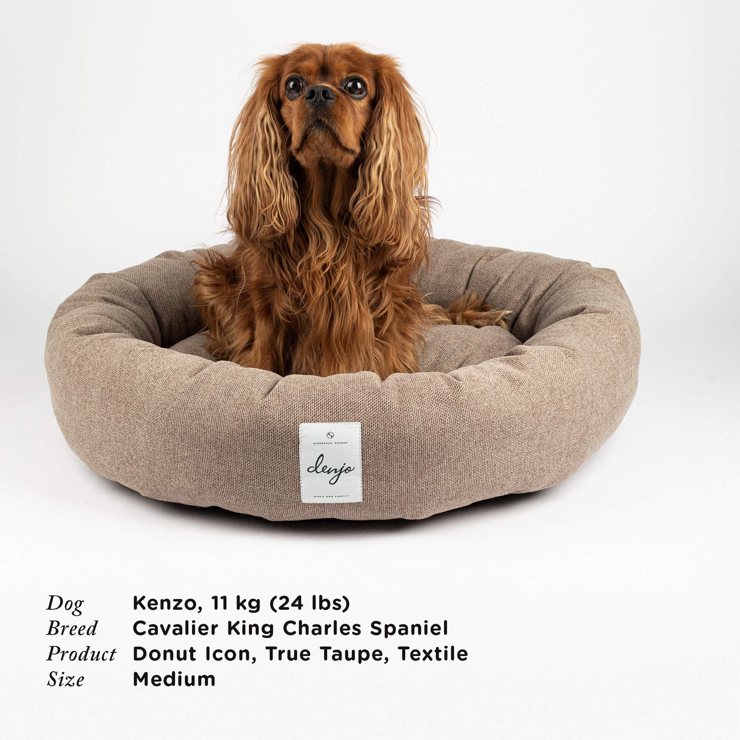 Denjo - Dog Bed Donut Icon