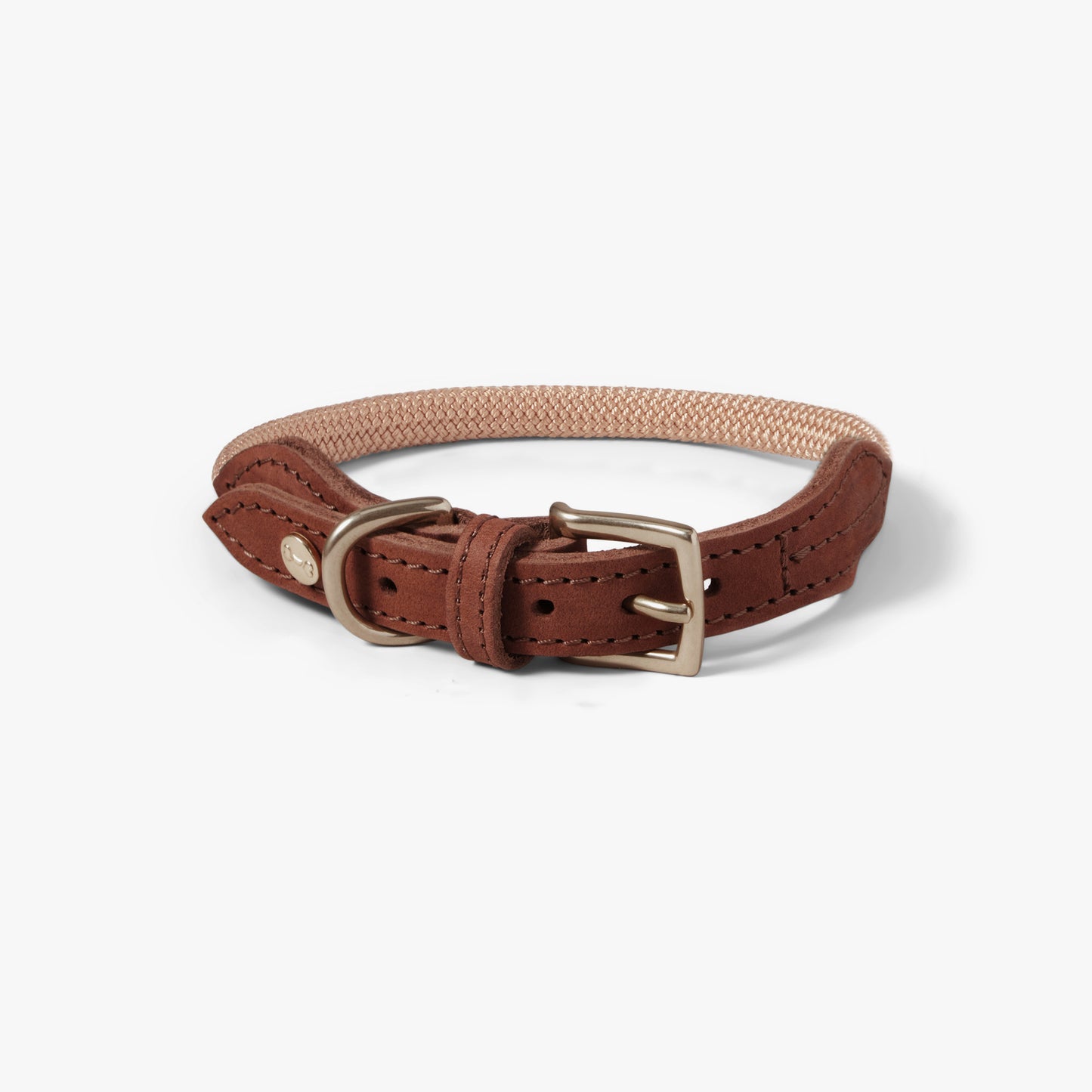 Denjo - Dog Collar Torekov