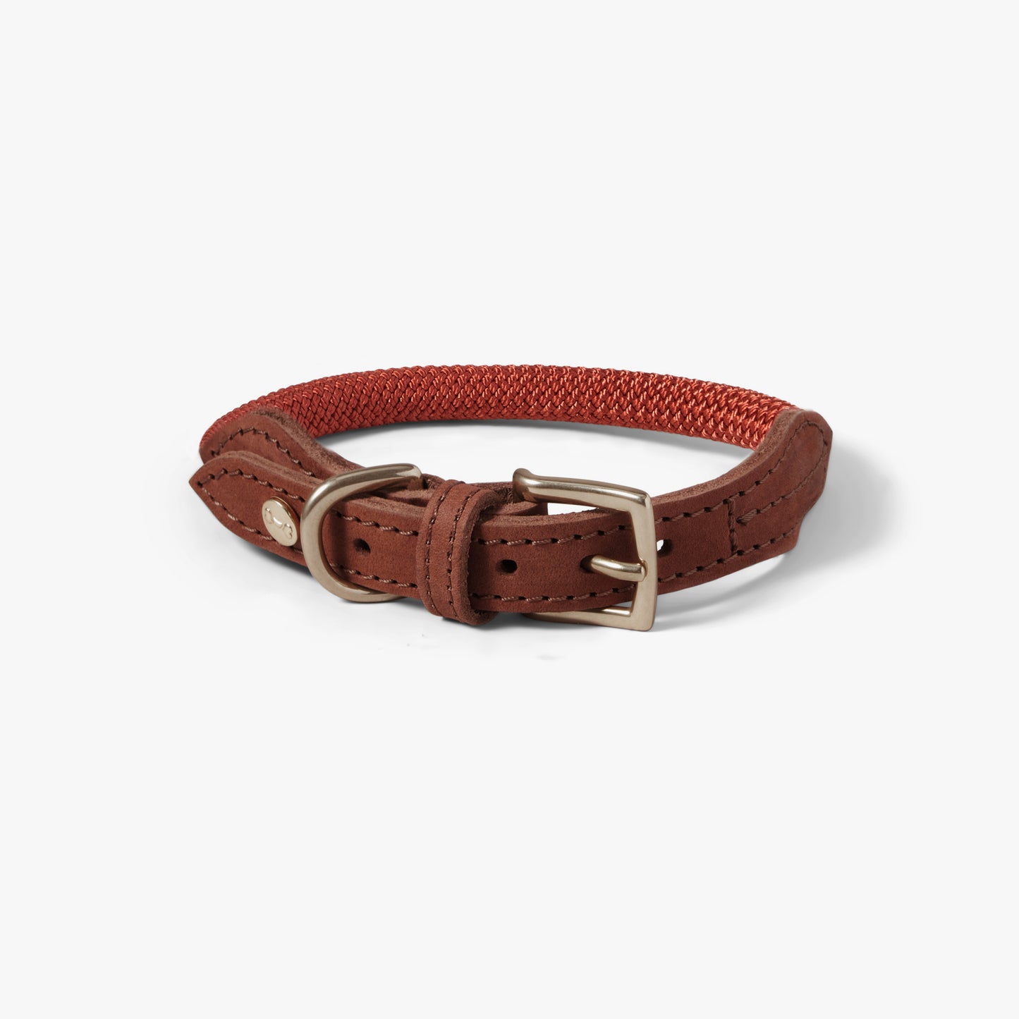 Denjo - Dog Collar Torekov