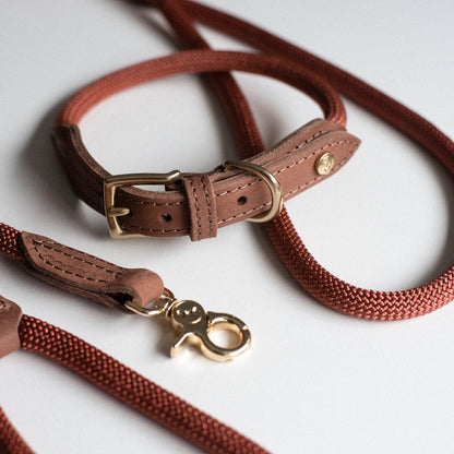 Denjo - Dog Collar Torekov