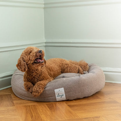 Denjo - Dog Bed Donut Icon