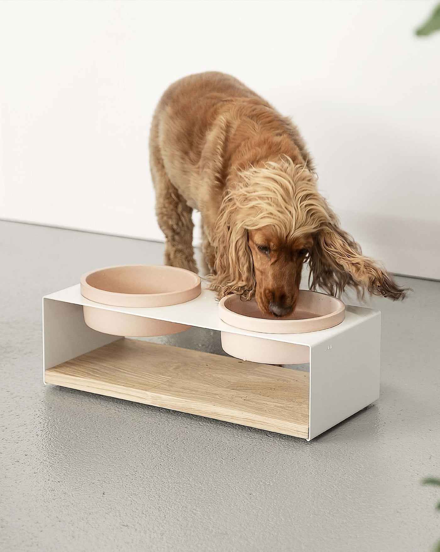 Dog using a pale pink DonArturo Tecca elevated feeder