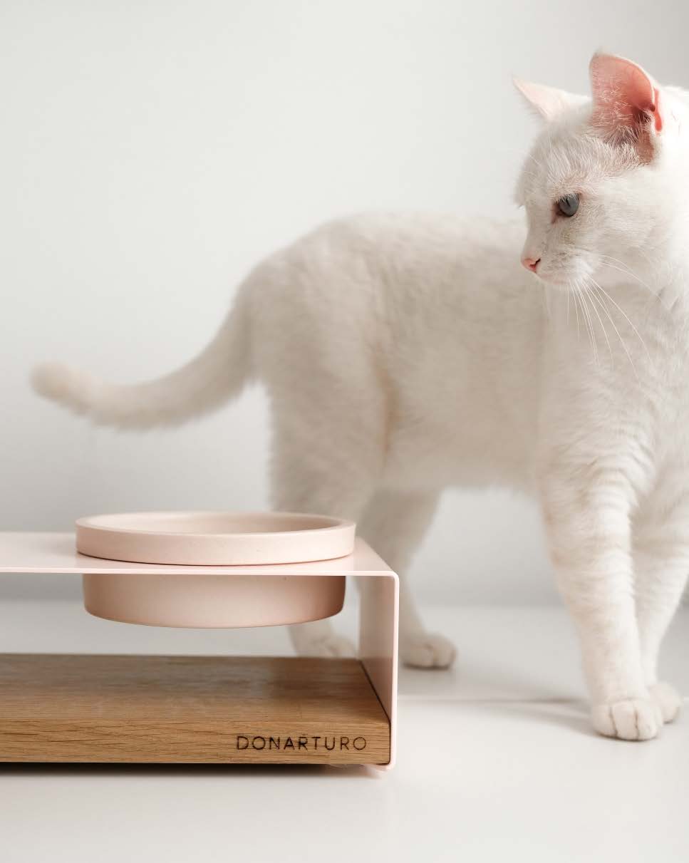 White cat beside a blush and oak DonArturo TECCÀ XS² double feeder